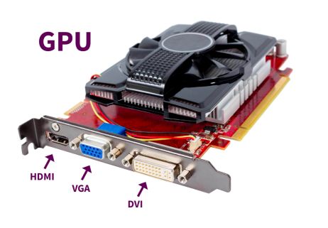 Key Internal Computer Components 